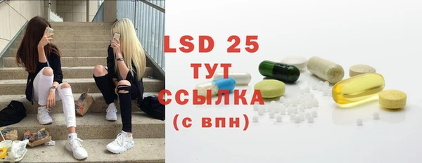 стаф Абинск