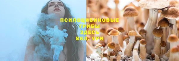 стаф Абинск