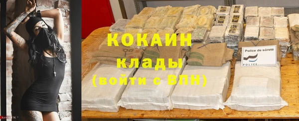 стаф Абинск